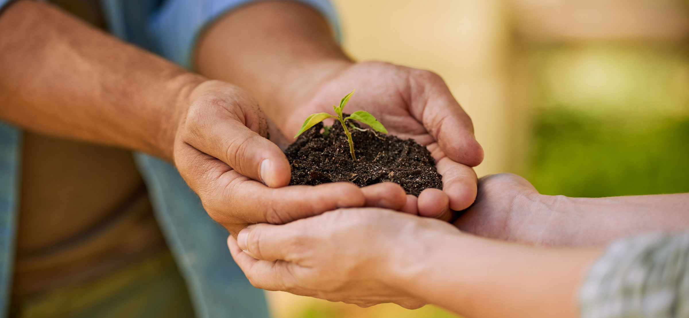 Donation to Grow